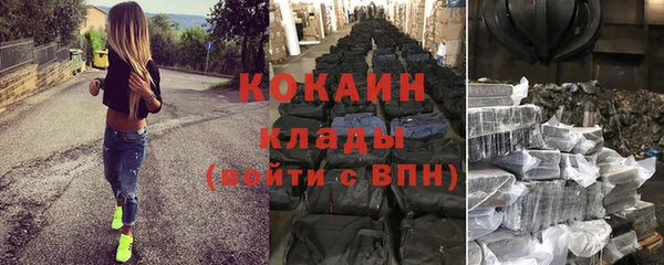 шишки Ивантеевка