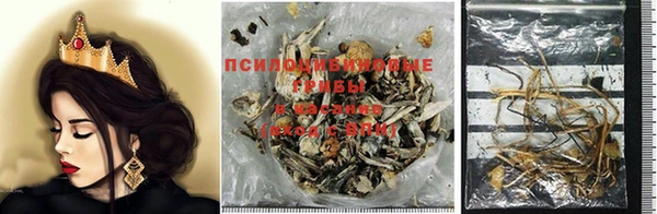 стафф Куйбышев