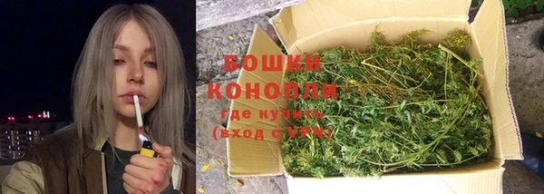 марки nbome Ельня