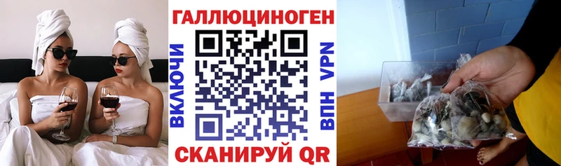 Псилоцибиновые грибы ЛСД  Данилов 